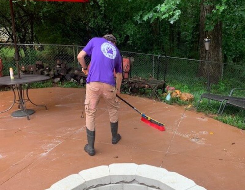 Grizzly Softwash Onsite Cleaning (26)